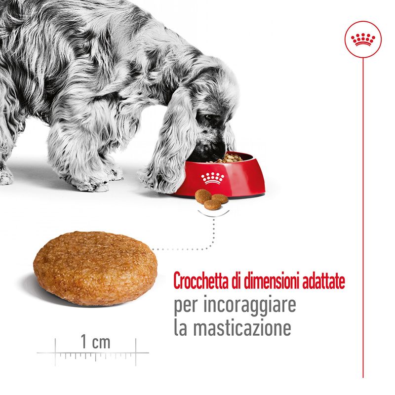 Royal Canin Medium Adult 15 kg - Crocchette per Cani Royal Canin Medium Adult 15 kg - Crocchette per Cani